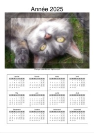 Calendrier Annuel téléchargé le 06/06/2025 à 04:52:02