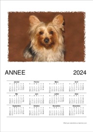 Calendrier Annuel t&eacute;l&eacute;charg&eacute; le 01/01/2026 &agrave; 23:14:38