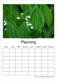 Planning t&eacute;l&eacute;charg&eacute; le 31/03/2026 &agrave; 18:32:20