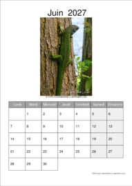 Calendrier Mensuel t&eacute;l&eacute;charg&eacute; le 17/06/2026 &agrave; 11:58:06