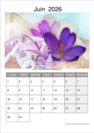 Calendrier Mensuel t&eacute;l&eacute;charg&eacute; le 23/06/2026 &agrave; 09:53:05