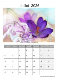 Calendrier Mensuel t&eacute;l&eacute;charg&eacute; le 23/06/2026 &agrave; 09:54:21