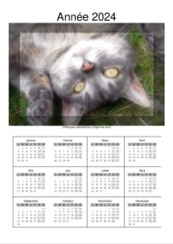 Calendrier Annuel t&eacute;l&eacute;charg&eacute; le 05/08/2026 &agrave; 23:01:41