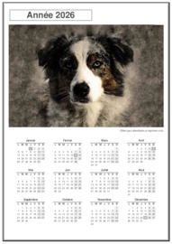 Calendrier Annuel t&eacute;l&eacute;charg&eacute; le 15/08/2026 &agrave; 09:54:24