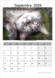 Calendrier Mensuel t&eacute;l&eacute;charg&eacute; le 04/09/2026 &agrave; 15:07:38