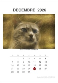 Calendrier Mensuel t&eacute;l&eacute;charg&eacute; le 23/10/2026 &agrave; 09:53:28